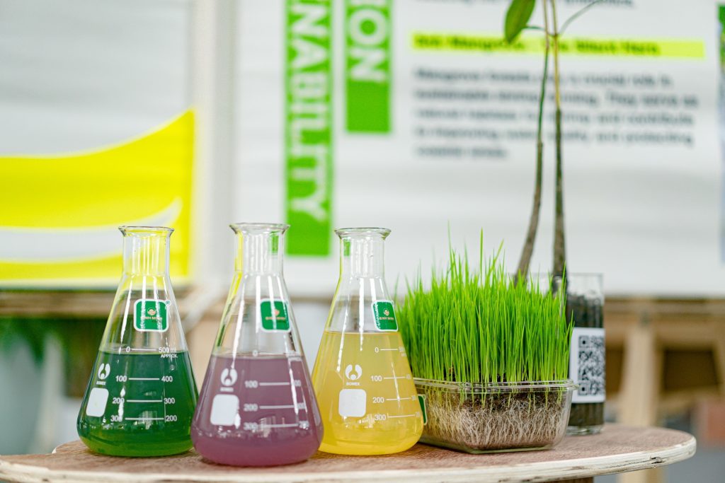 RMIT Alumni Green Business Showcase 2024